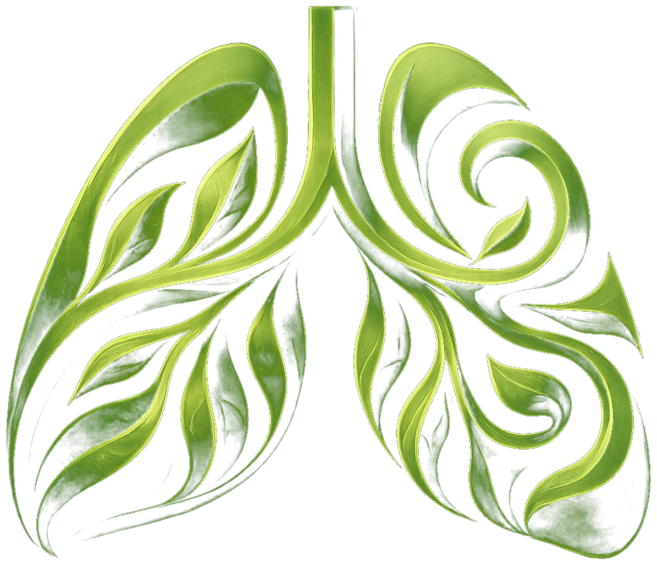 Lungs regenerating